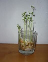 Qué bonita la naturaleza a nuestro alrededor